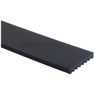 SERPENTINE BELT