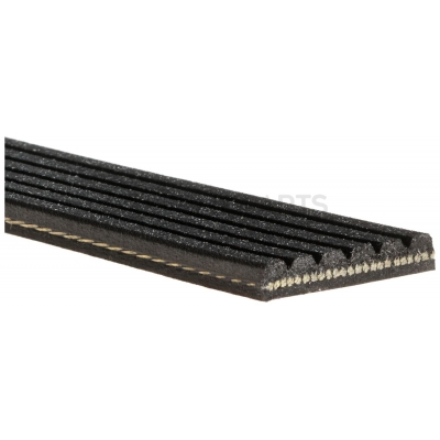 SERPENTINE BELT