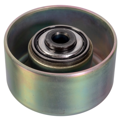 KAYIŞ GERGİ KASNAĞI