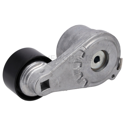 POLY V-RIEMSPANNER
