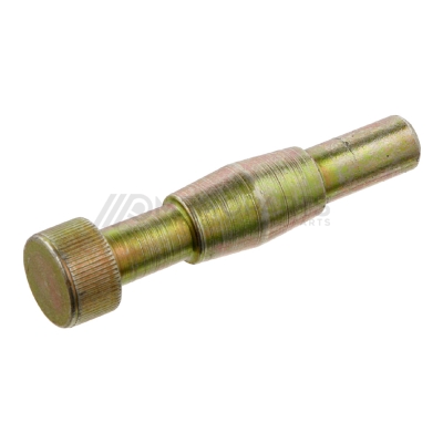 REMSCHOEN PEN