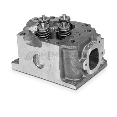 CYLINDER HEAD WITH VALVES