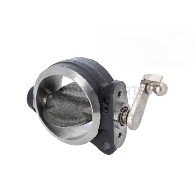 EXHAUST GAS FLAP