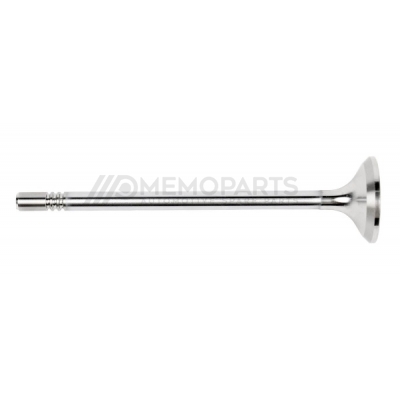 EXHAUST VALVE