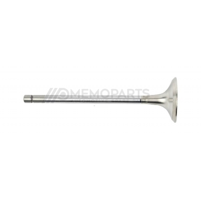 EXHAUST VALVE