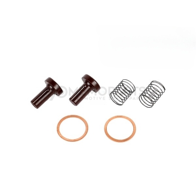BRANDSTOFPOMP REPARATIESET