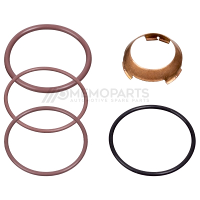 INJECTOR SEAL KIT