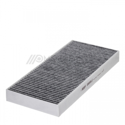 POLLEN FILTER