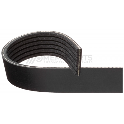 SERPENTINE BELT