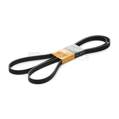 SERPENTINE BELT
