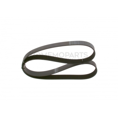 SERPENTINE BELT