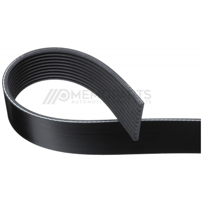 SERPENTINE BELT