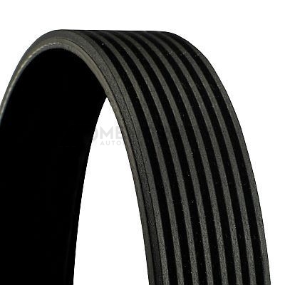 SERPENTINE BELT