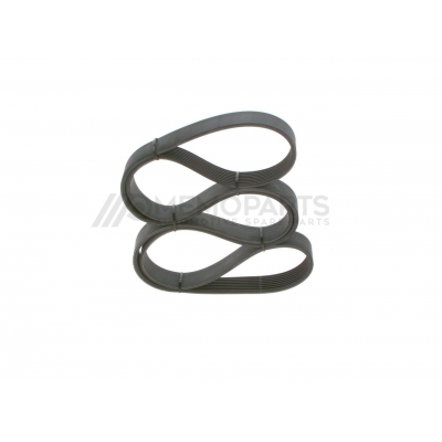 SERPENTINE BELT
