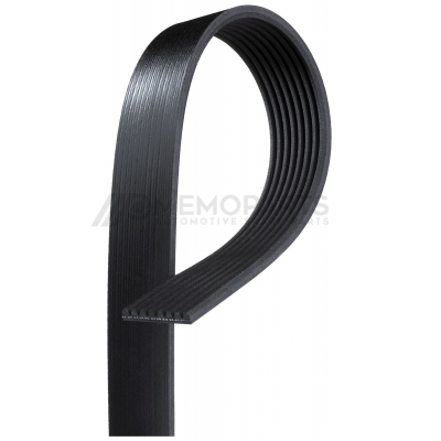 SERPENTINE BELT
