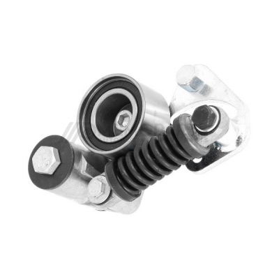 RIEMSPANNER