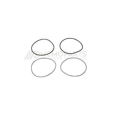 SEAL RING KİT