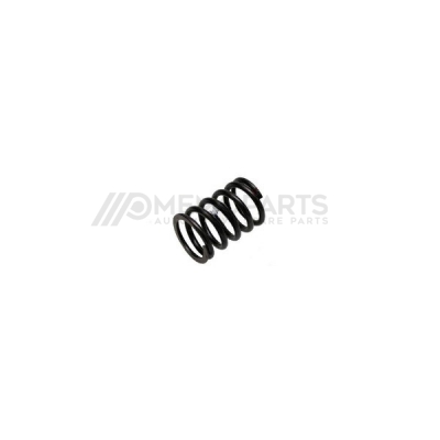 VALVE SPRING