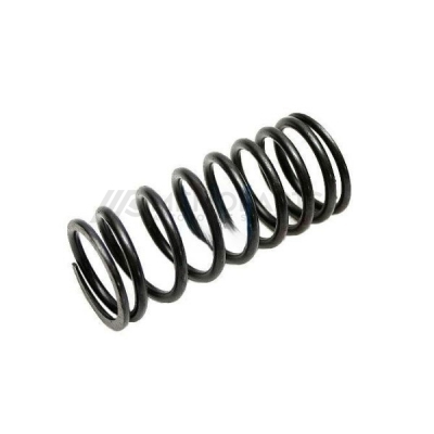 VALVE SPRING