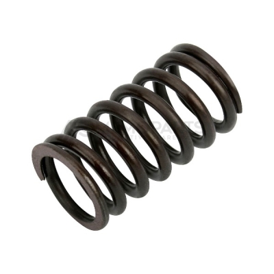 VALVE SPRING