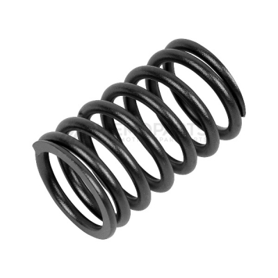 VALVE SPRING