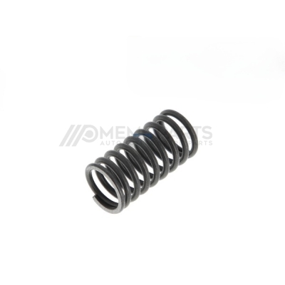 VALVE SPRING