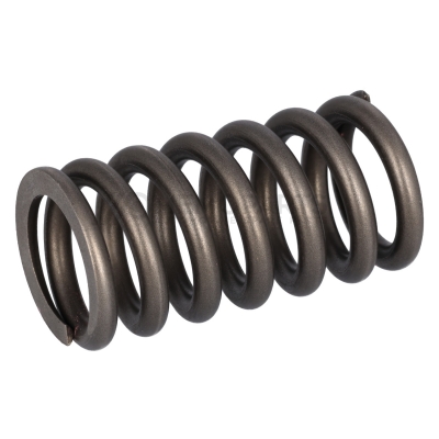VALVE SPRING