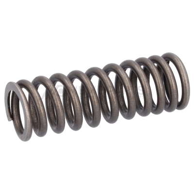 VALVE SPRING