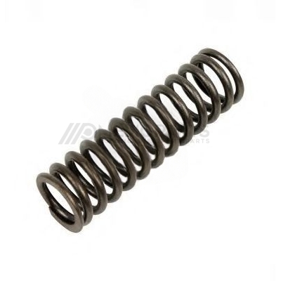 VALVE SPRING