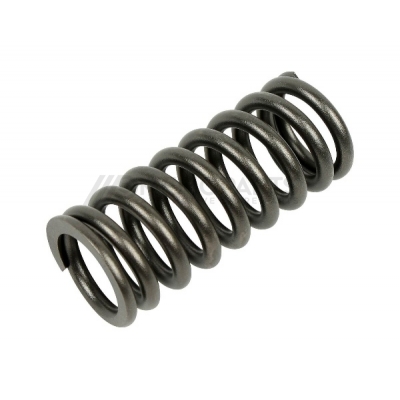 VALVE SPRING