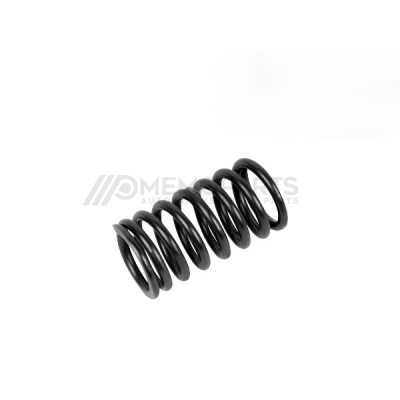 VALVE SPRING