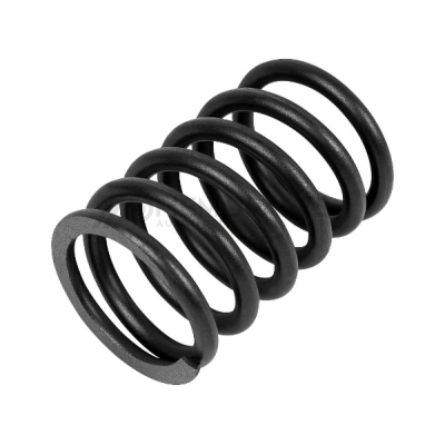VALVE SPRING