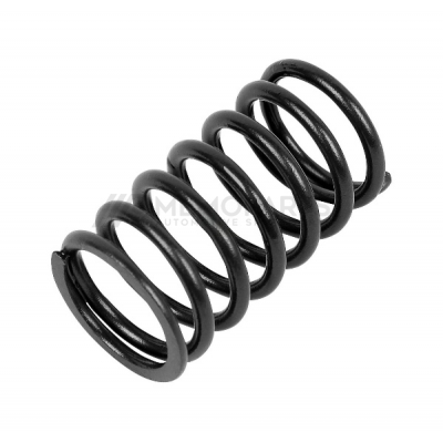 VALVE SPRING
