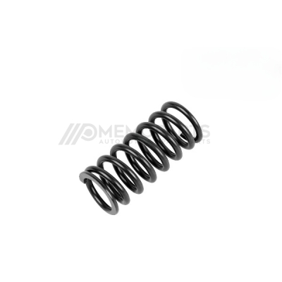 VALVE SPRING