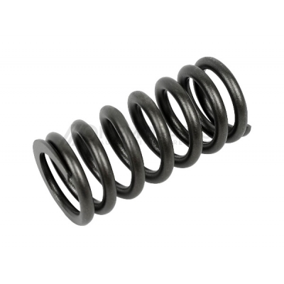 VALVE SPRING